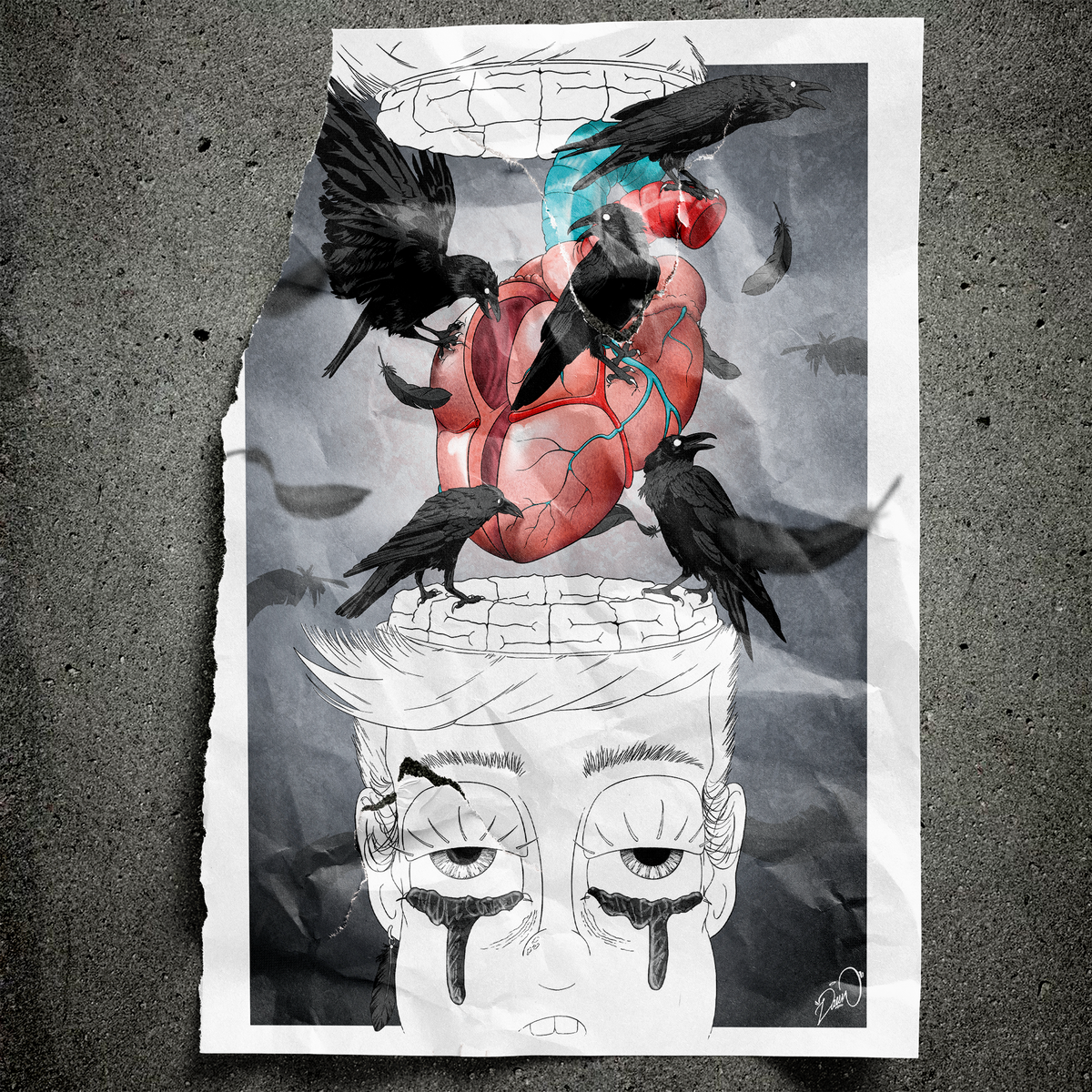 Noms d'oiseaux - Little Boy #02